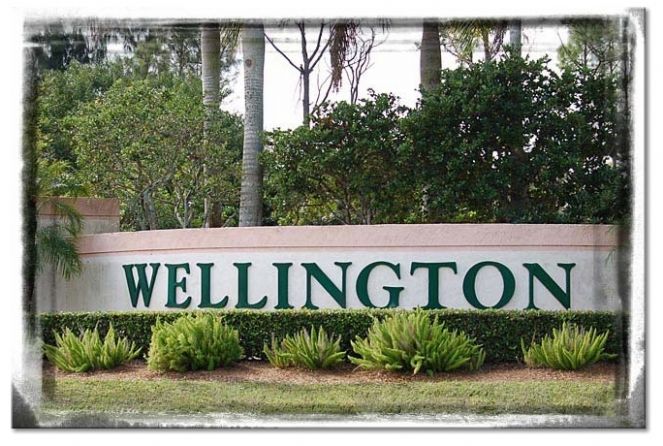 Wellington2.JPG